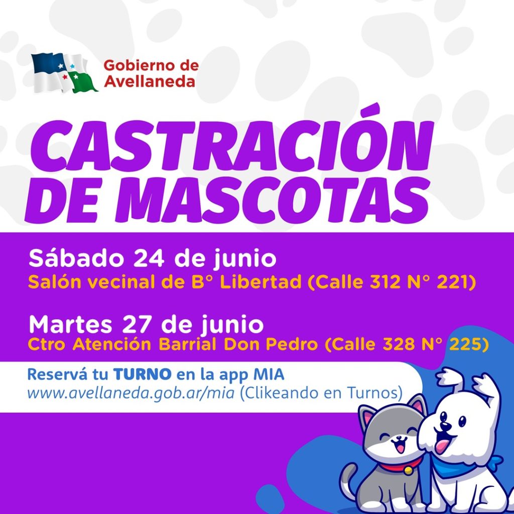 castracion mascotas