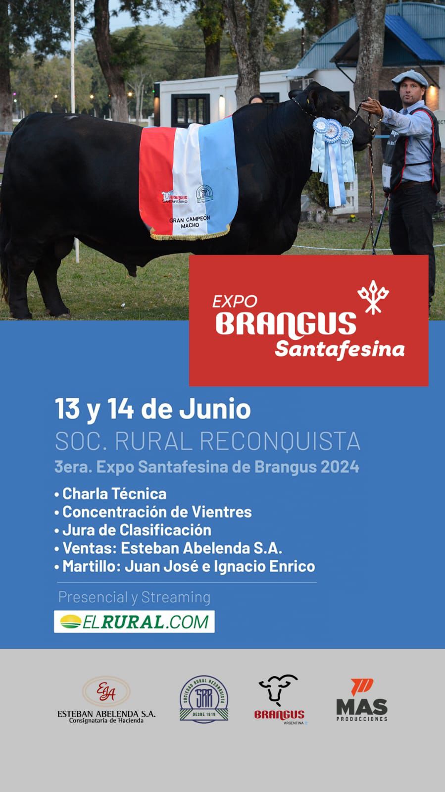 expo brancgusd